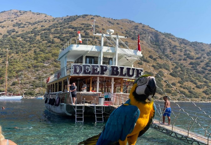 GÜNLÜK AKTİVİTE - KELEBEKLER VADİSİ TEKNE TURU