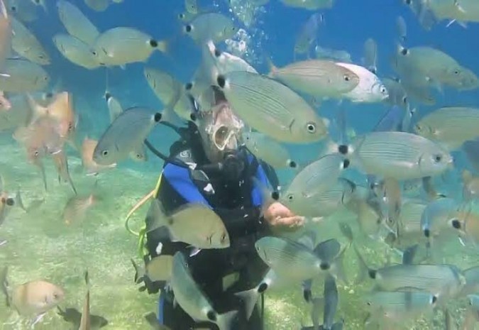 GÜNLÜK AKTİVİTE - TÜPLÜ DALIŞ