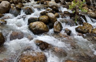 GÜNLÜK AKTİVİTE - JEEP SAFARİ