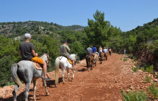 GÜNLÜK AKTİVİTE - AT SAFARİ