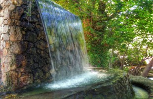 GÜNLÜK AKTİVİTE - JEEP SAFARİ