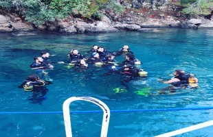 GÜNLÜK AKTİVİTE - TÜPLÜ DALIŞ