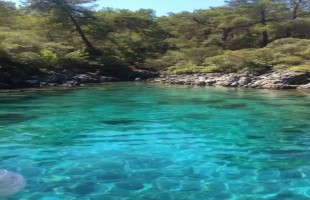 GÜNLÜK AKTİVİTE - 12 ADALAR TEKNE TURU