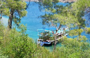 5 GECE 6 GÜNDÜZ AKTİVİTE PROGRAMI